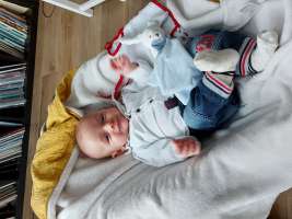 louis